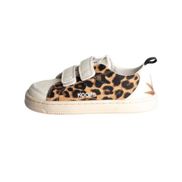 Koops Rafi leopardo