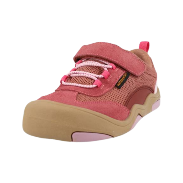 Blanditos Apolo Rosa